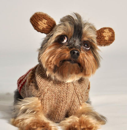 Chilly Dog Monkey Hoodie