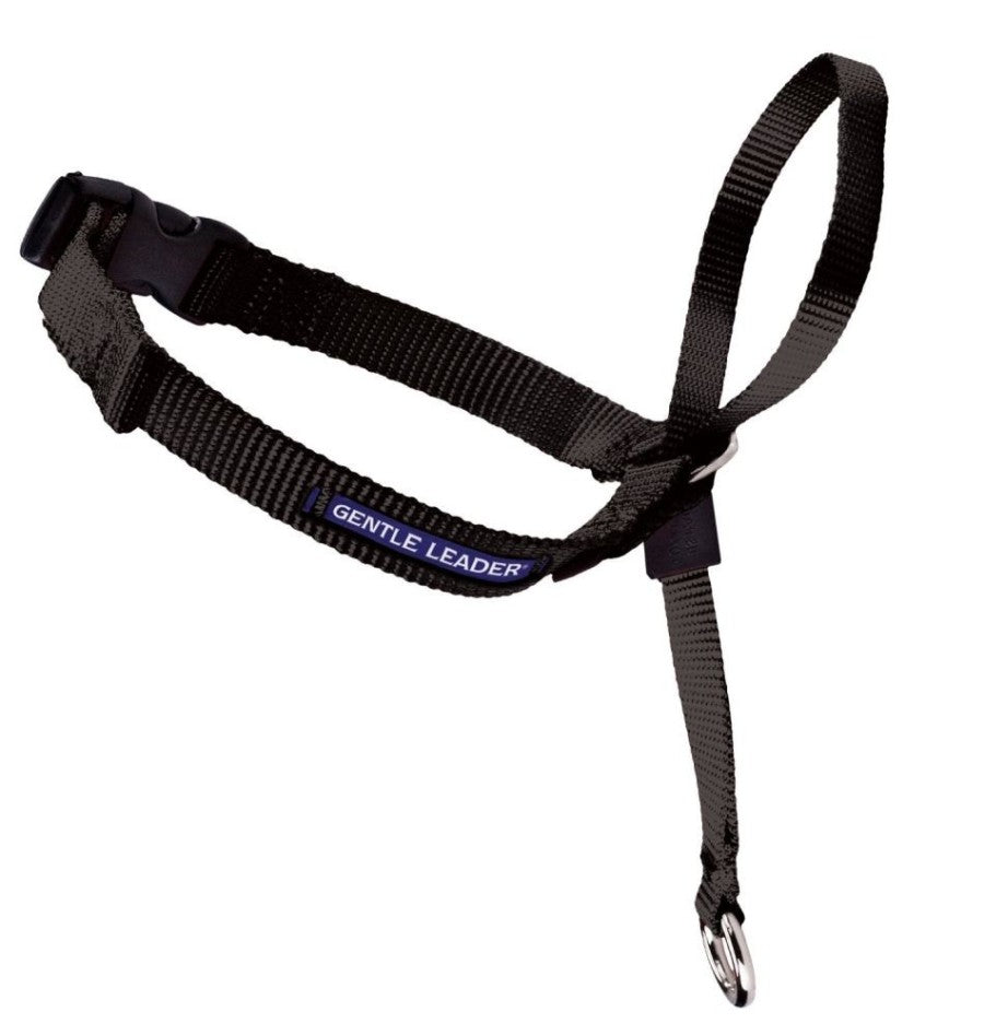 Pet Safe Gentle Leader BLK XL