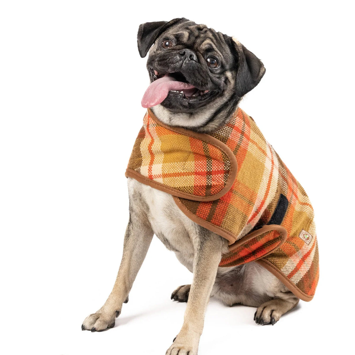 CHILLY DOG RUST PLAID COAT XL
