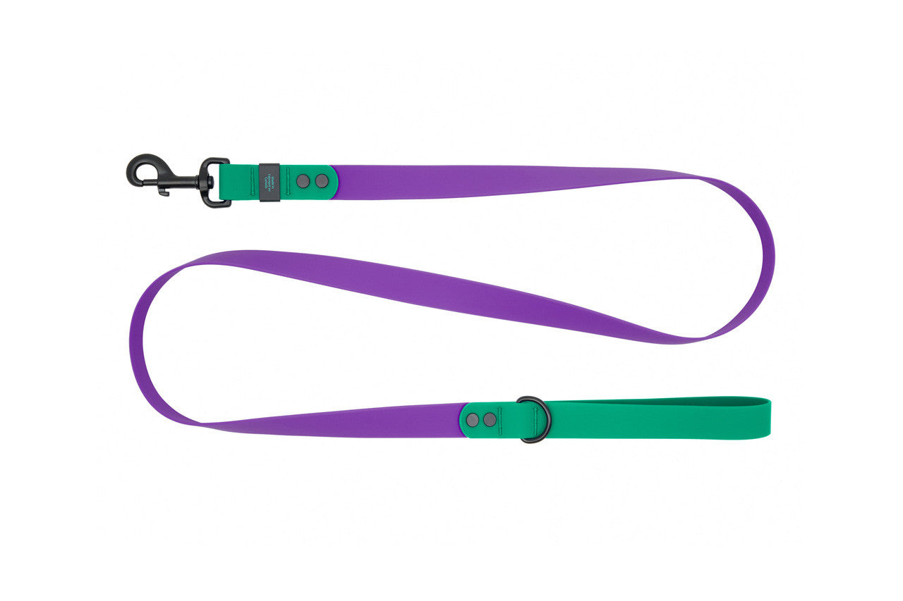 RC PETS WATERPROOF LEASH 1X5 PURPLE PARAKEET