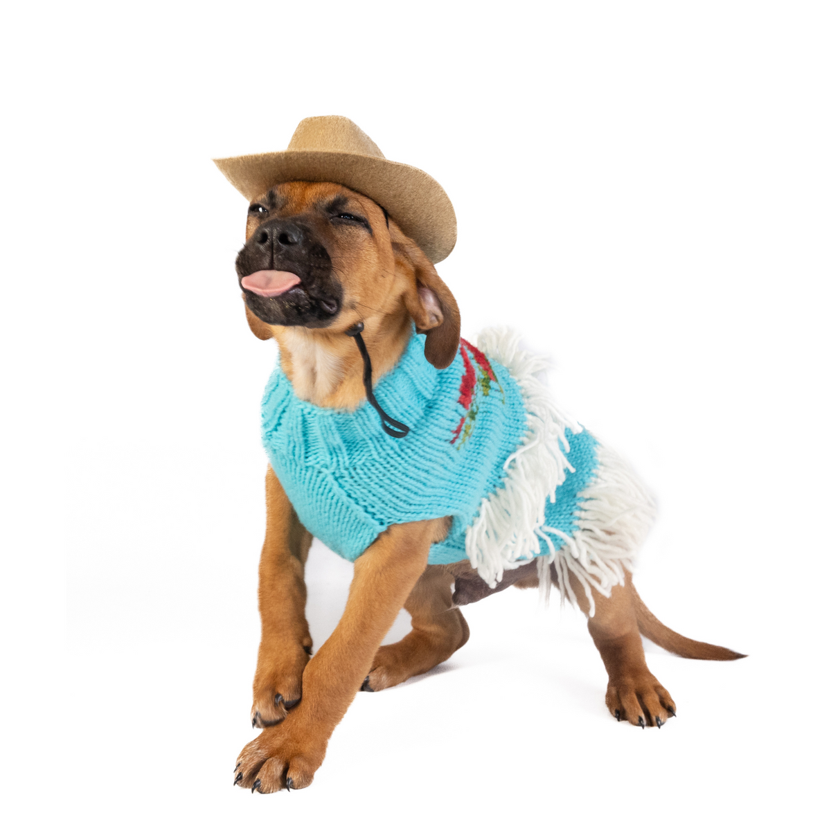 Chilly Dog Rodeo Sweater