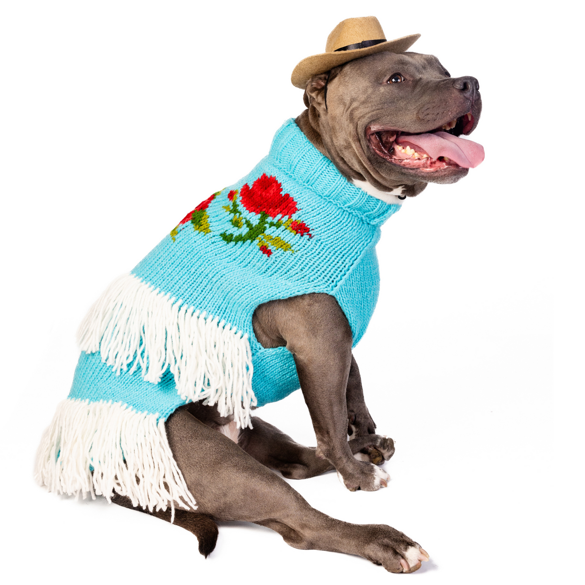 Chilly Dog Rodeo Sweater