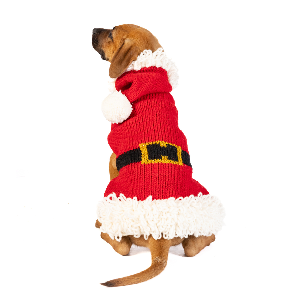 Chilly Dog Santa XS