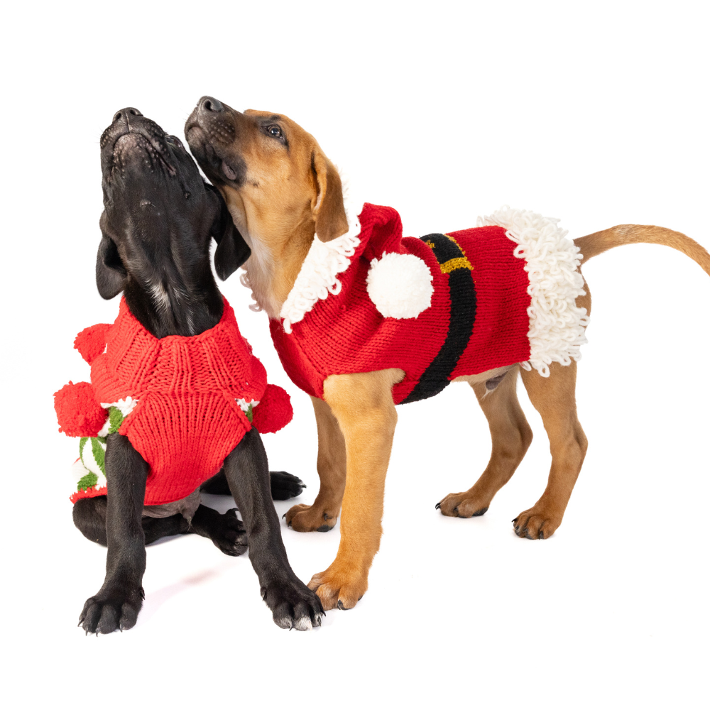 Chilly Dog Santa Sweater