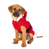Chilly Dog Santa Sweater