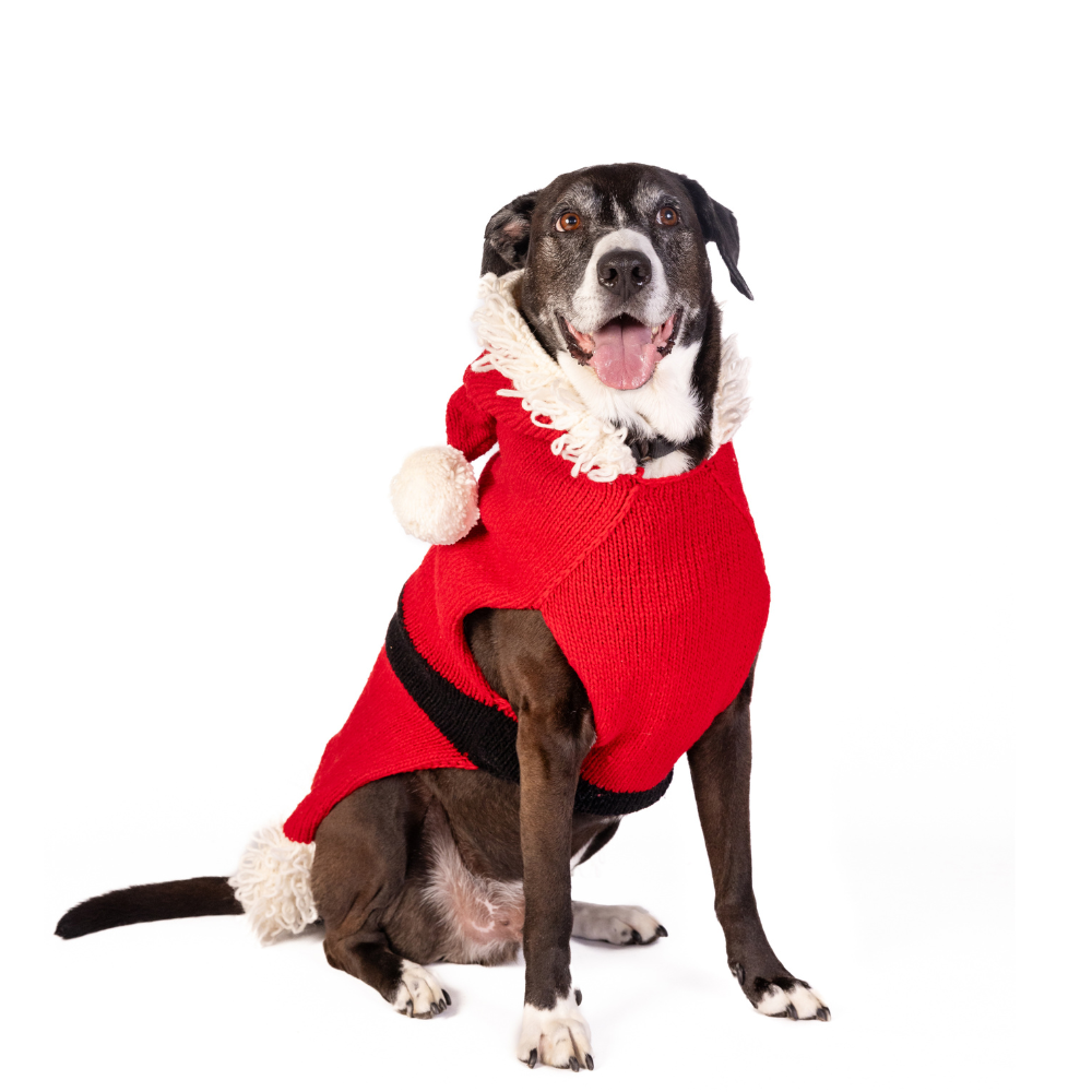 Chilly Dog Santa Sweater