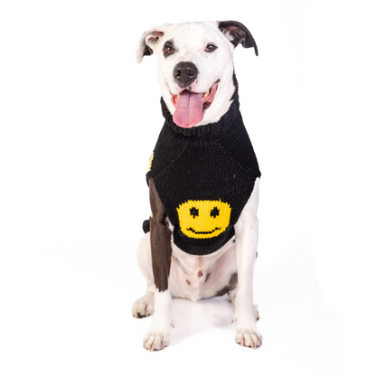 Chilly Dog Smiley Small