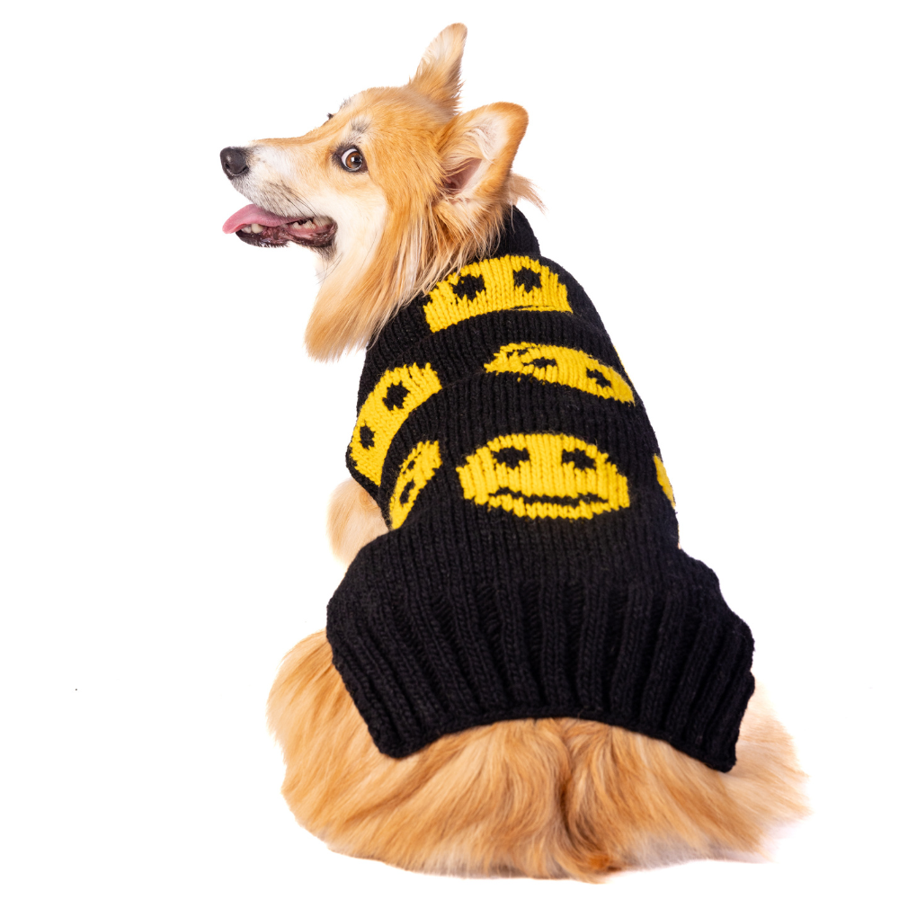 Chilly Dog Smiley Small