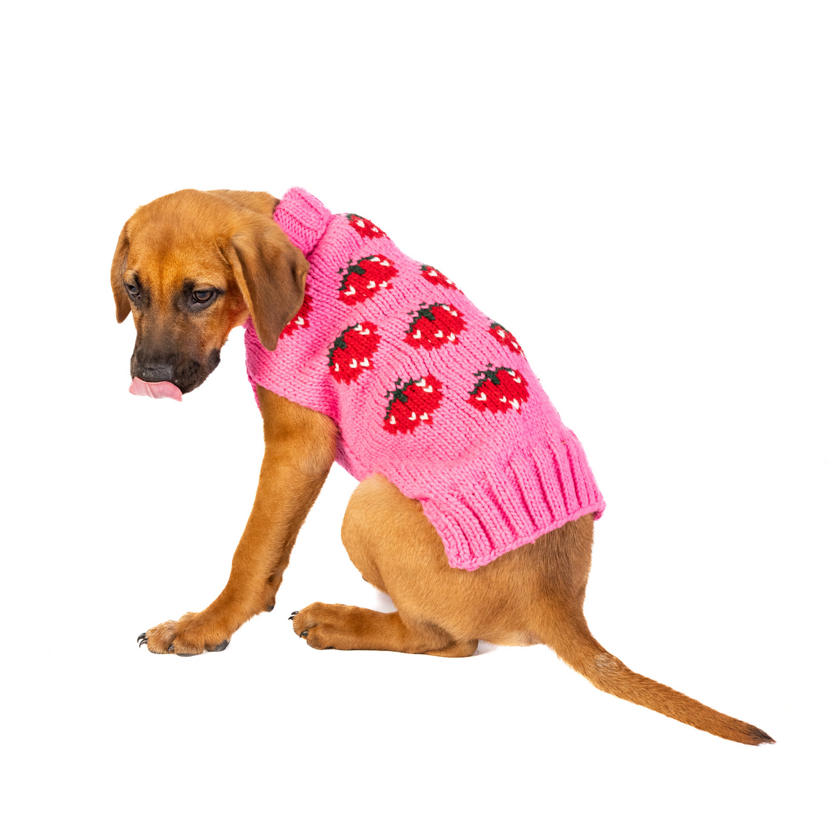 Chilly Dog Strawberry Sweater