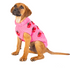 Chilly Dog Strawberry Sweater