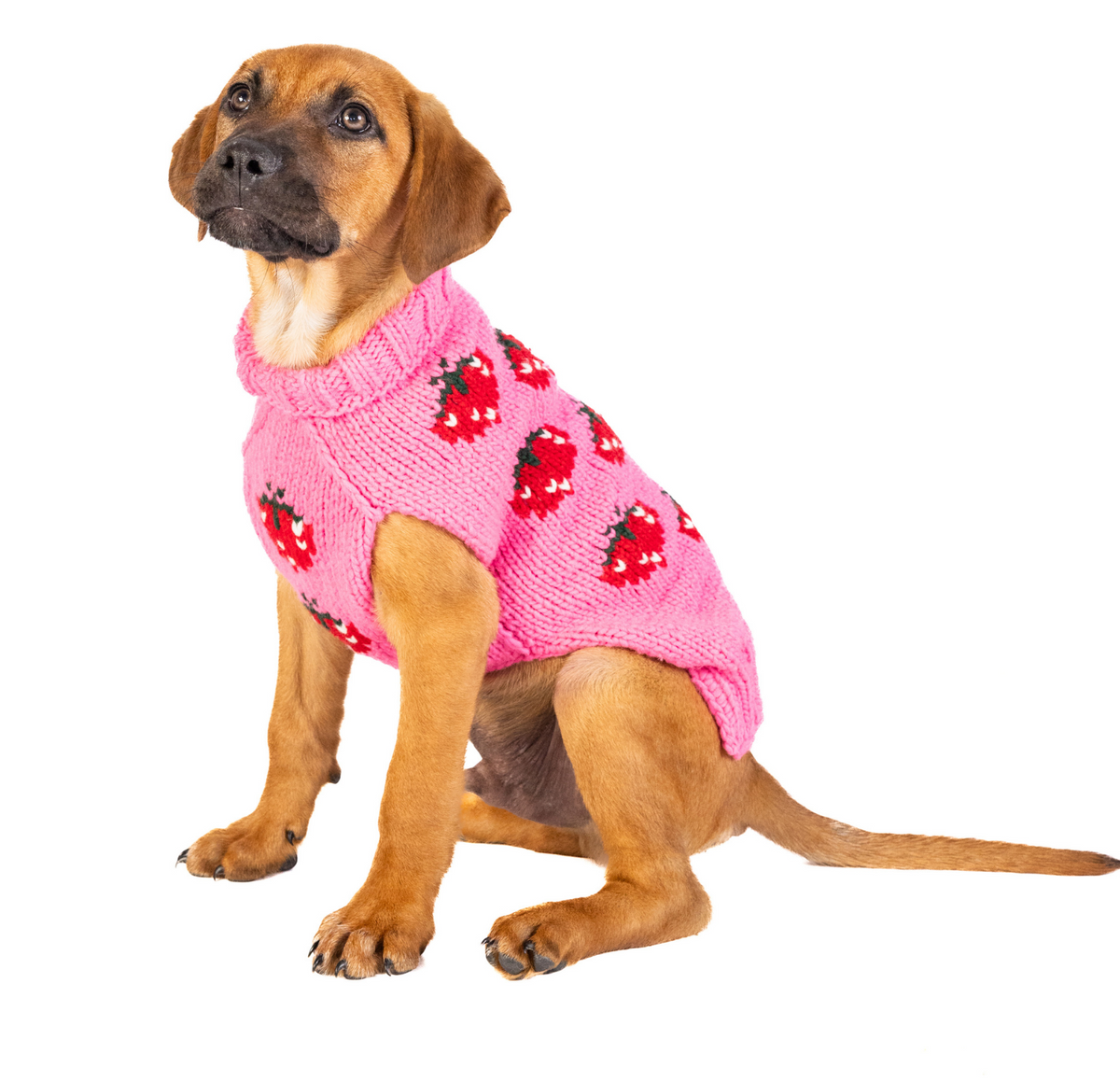 Chilly Dog Strawberry Sweater