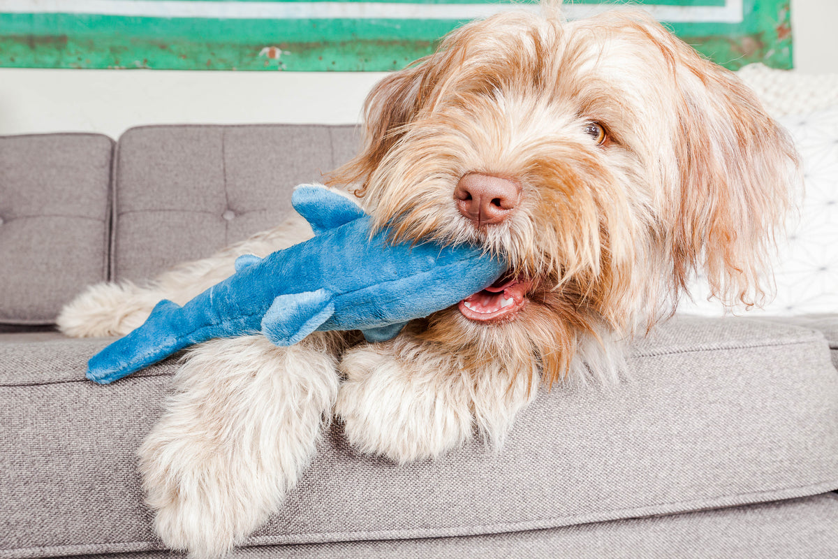 Fluff &amp; Tuff Tank Shark plush dog toy