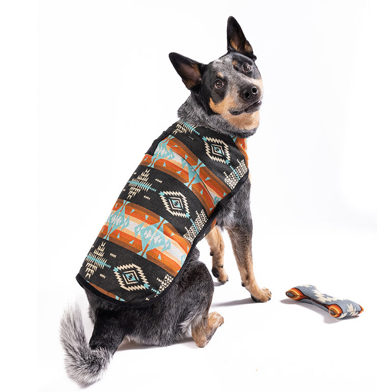 Chilly Dog Black Canyon Blanket Coat