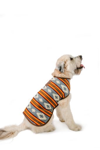 Chilly Dog Denim Sunset Blanket Coat