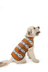 Chilly Dog Denim Sunset Blanket Coat