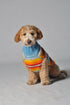 Chilly Dog Turquoise Serape Sweater