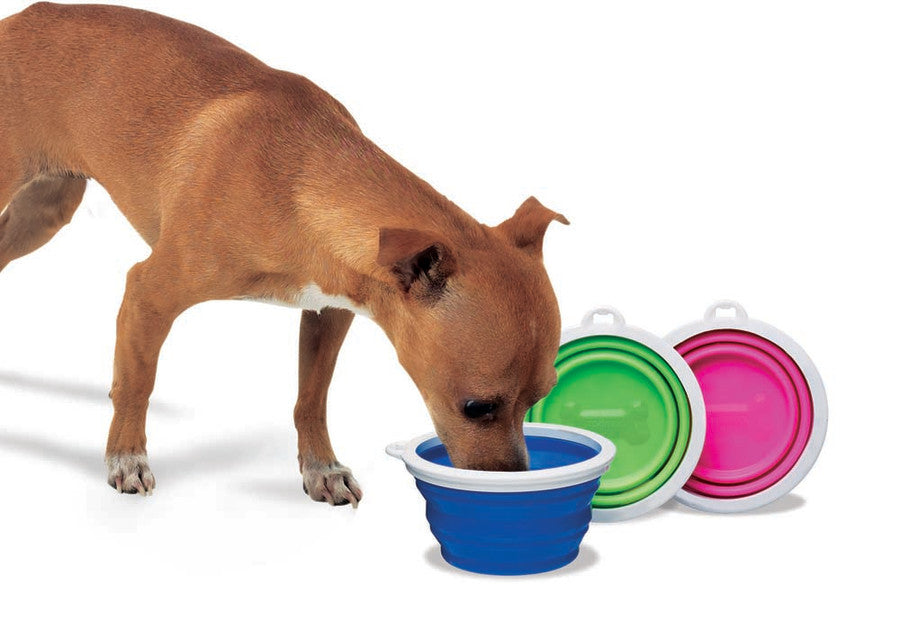 Bamboo Silicone Travel Bowl 1 Cup