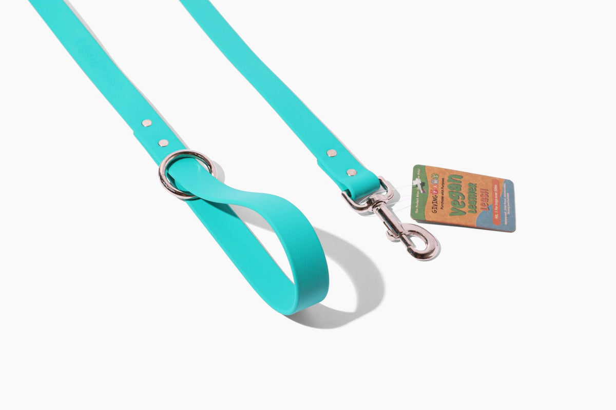 Giving Paws Vegan Leather Leash Sky Blue Large