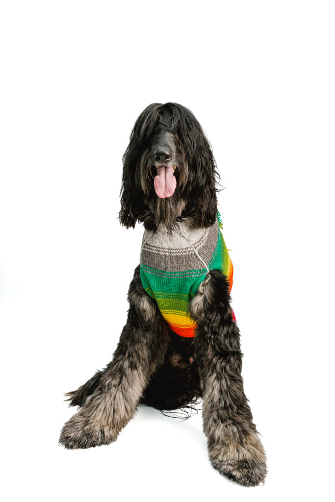 Chilly Dog Rainbow Mohawk Sweater